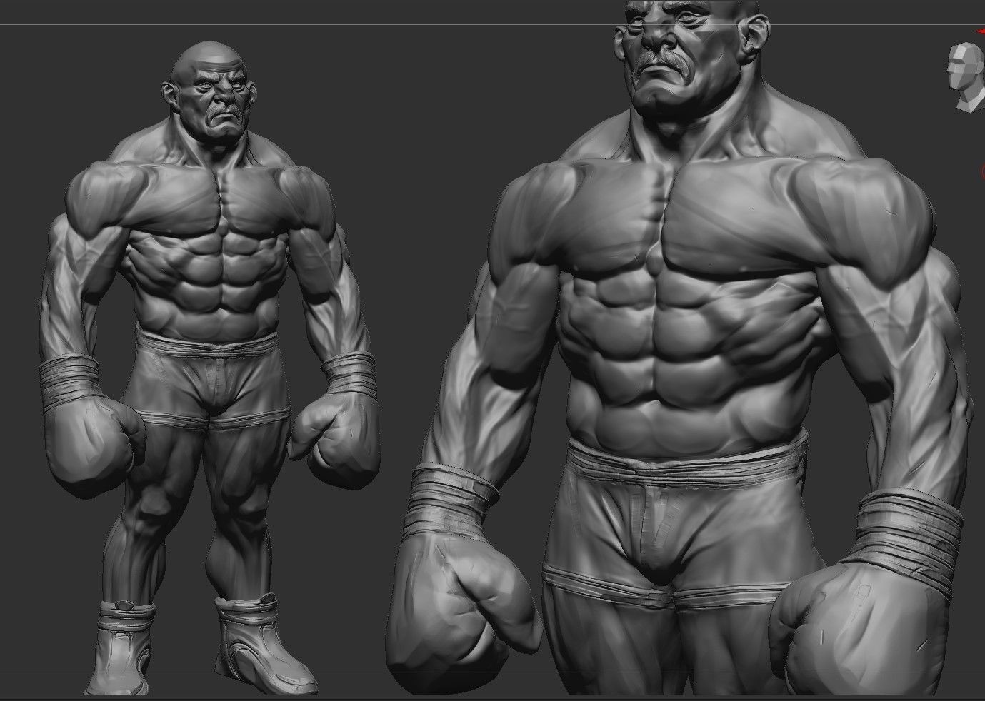 Stylized Boxer Anatomy 3D model_2