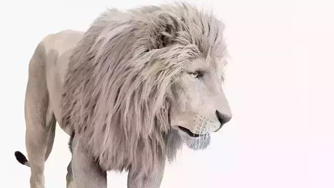 Lion 3D model created in Houdini