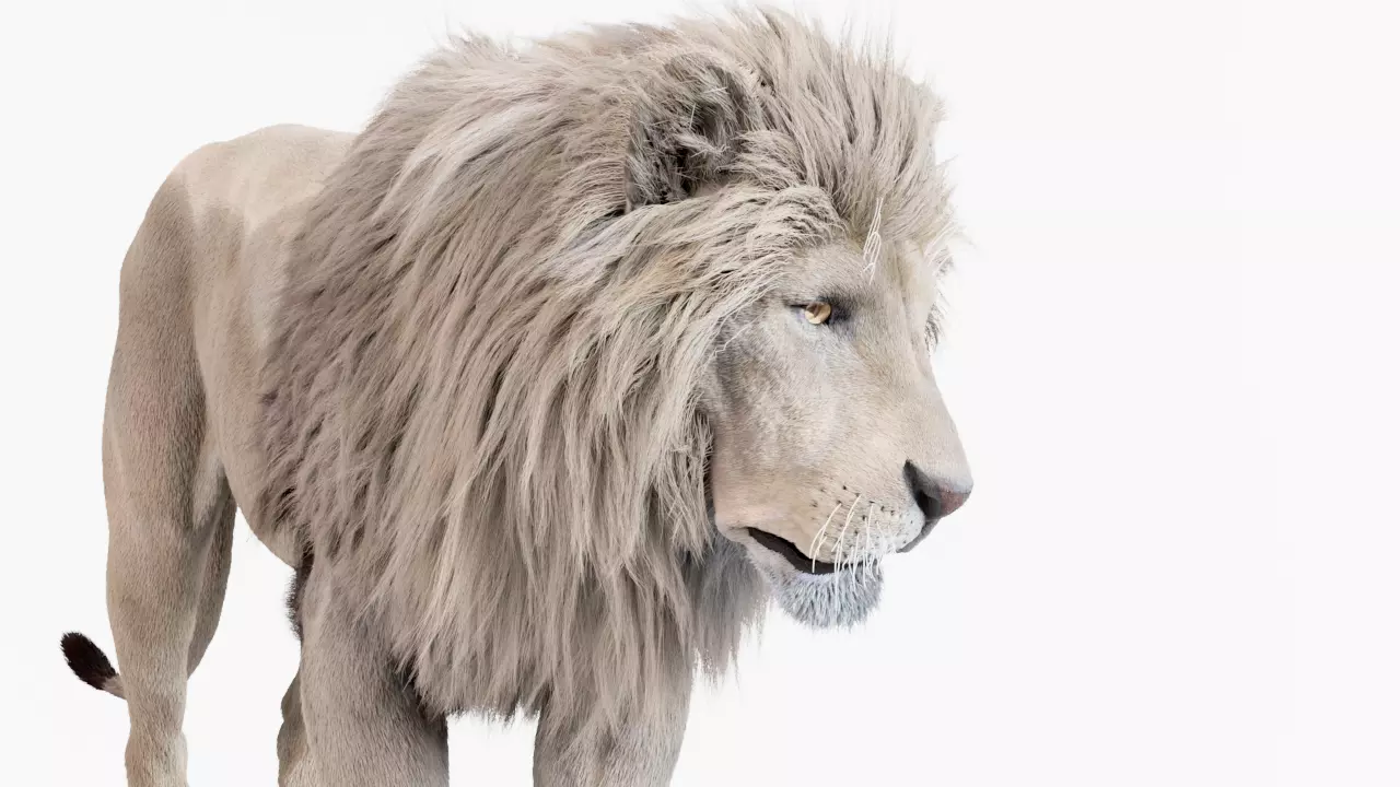 Lion 3D model created in Houdini 3D model_0
