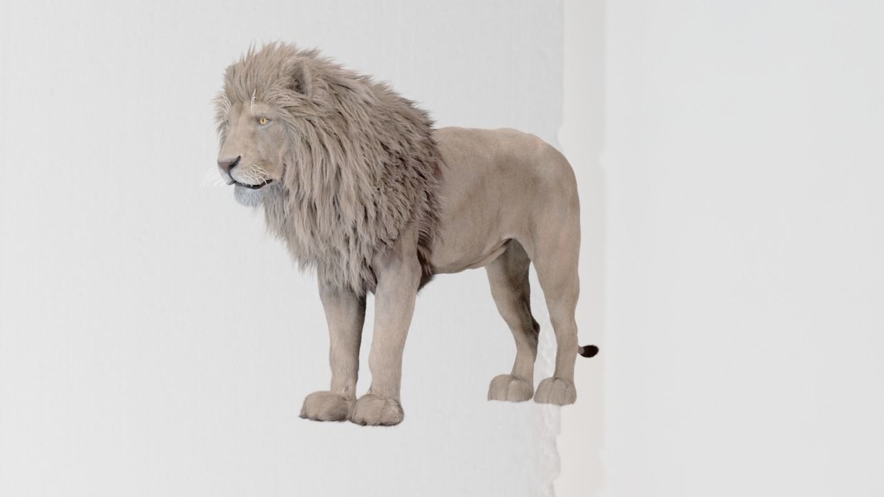 Lion 3D model created in Houdini 3D model_3