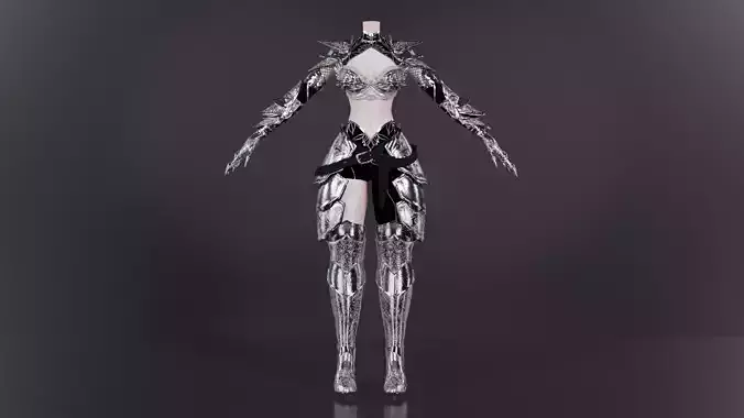 Female Armor set