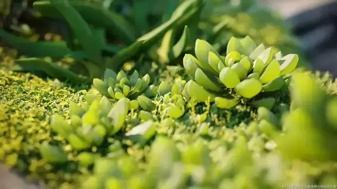 Maxtree Plant Models Vol 42 - Mesh