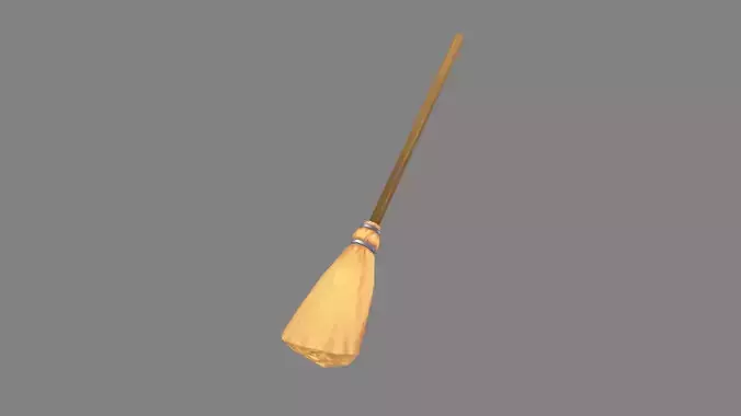 Cartoon magicdi broom