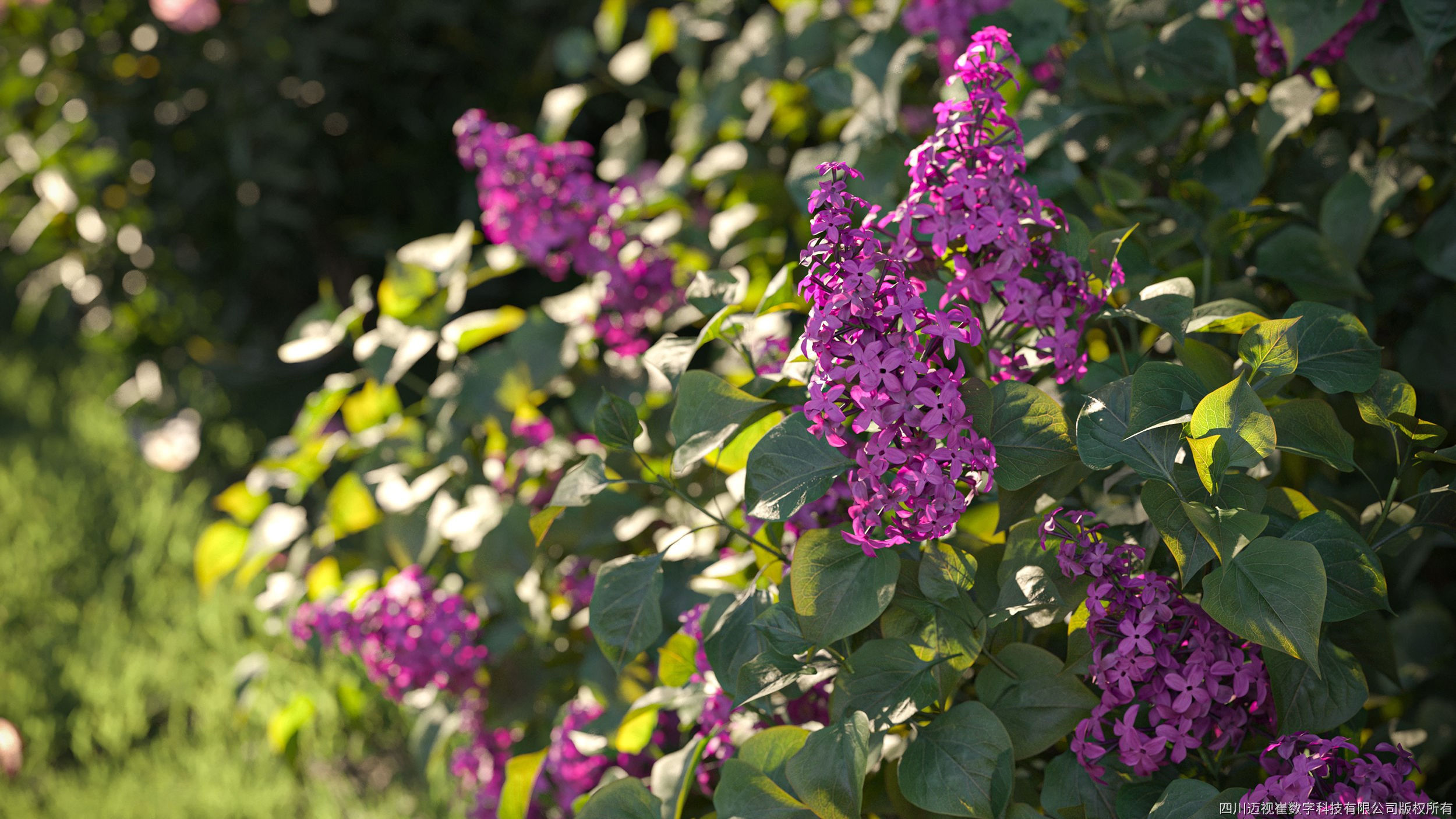 Maxtree Plant Models Vol 44 - Mesh 3D model_2