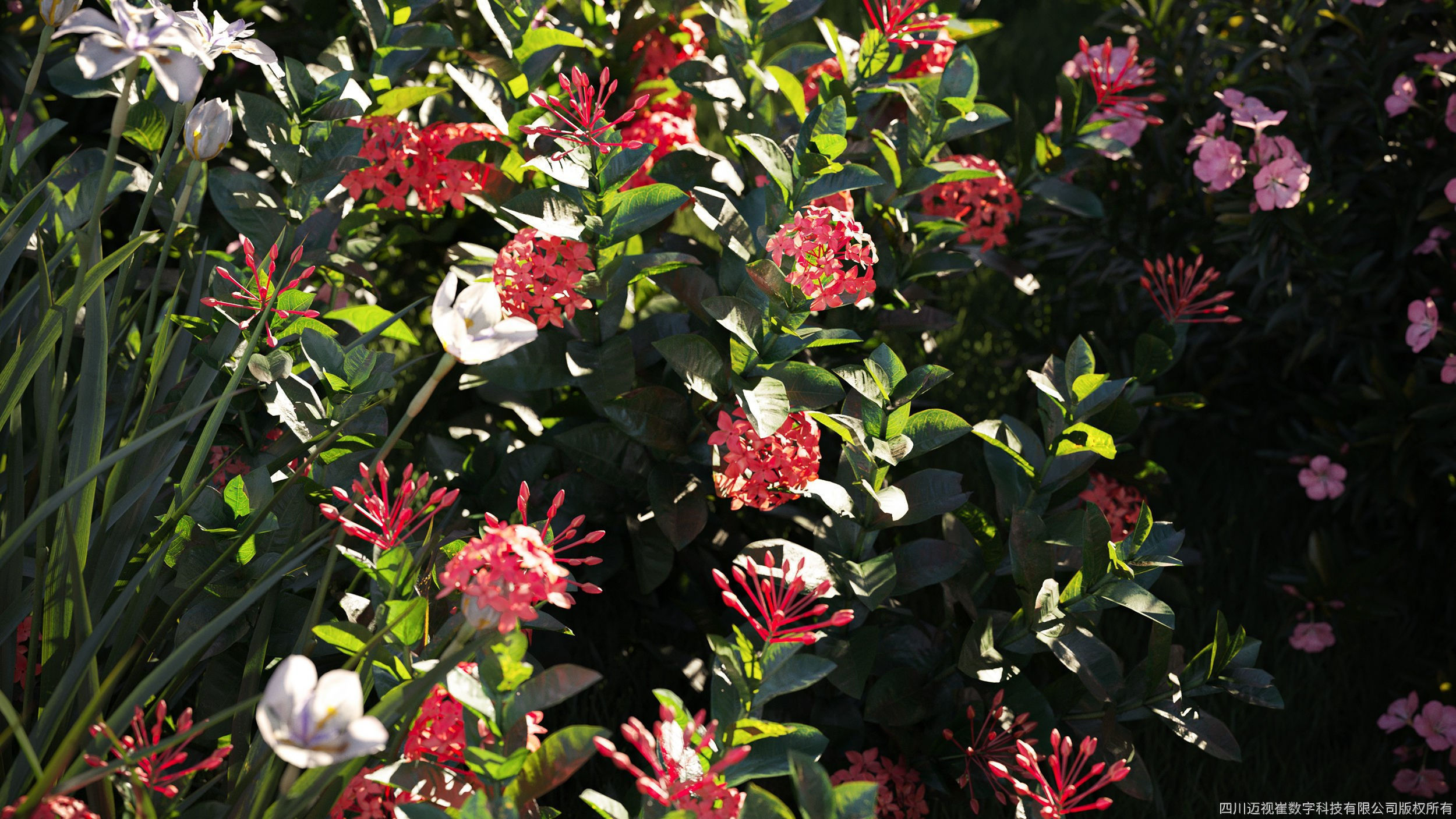 Maxtree Plant Models Vol 44 - Mesh 3D model_1