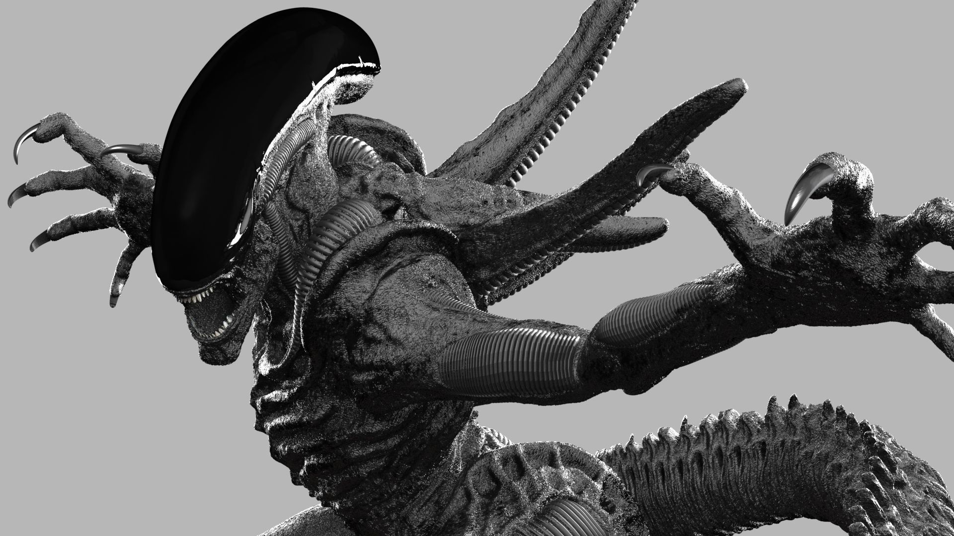 ALIEN XENOMORPH ATTACK 3D print model_4