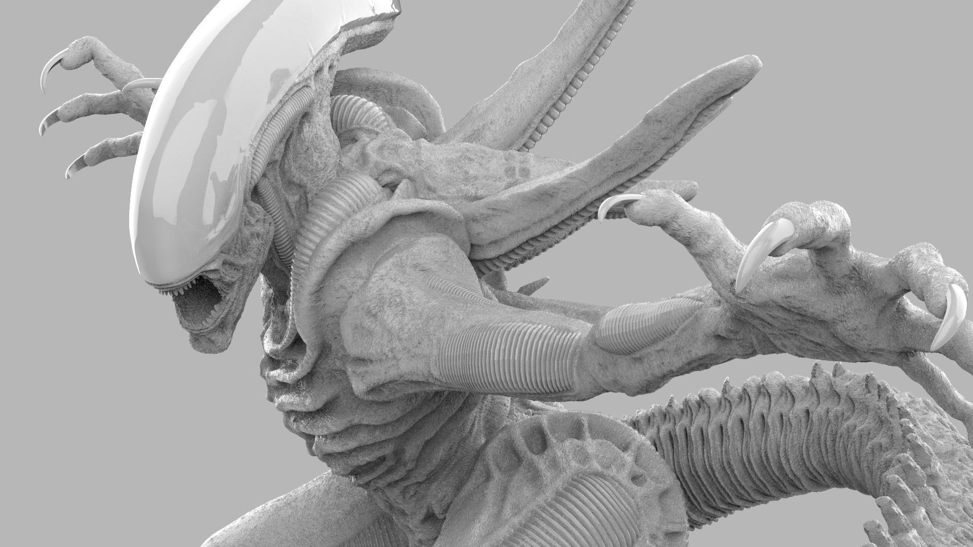 ALIEN XENOMORPH ATTACK 3D print model_11