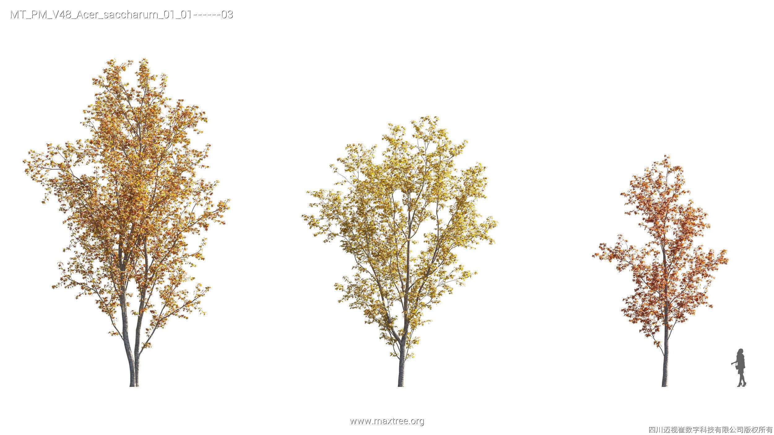 Maxtree Plant Models Vol 47 - Mesh 3D model_32