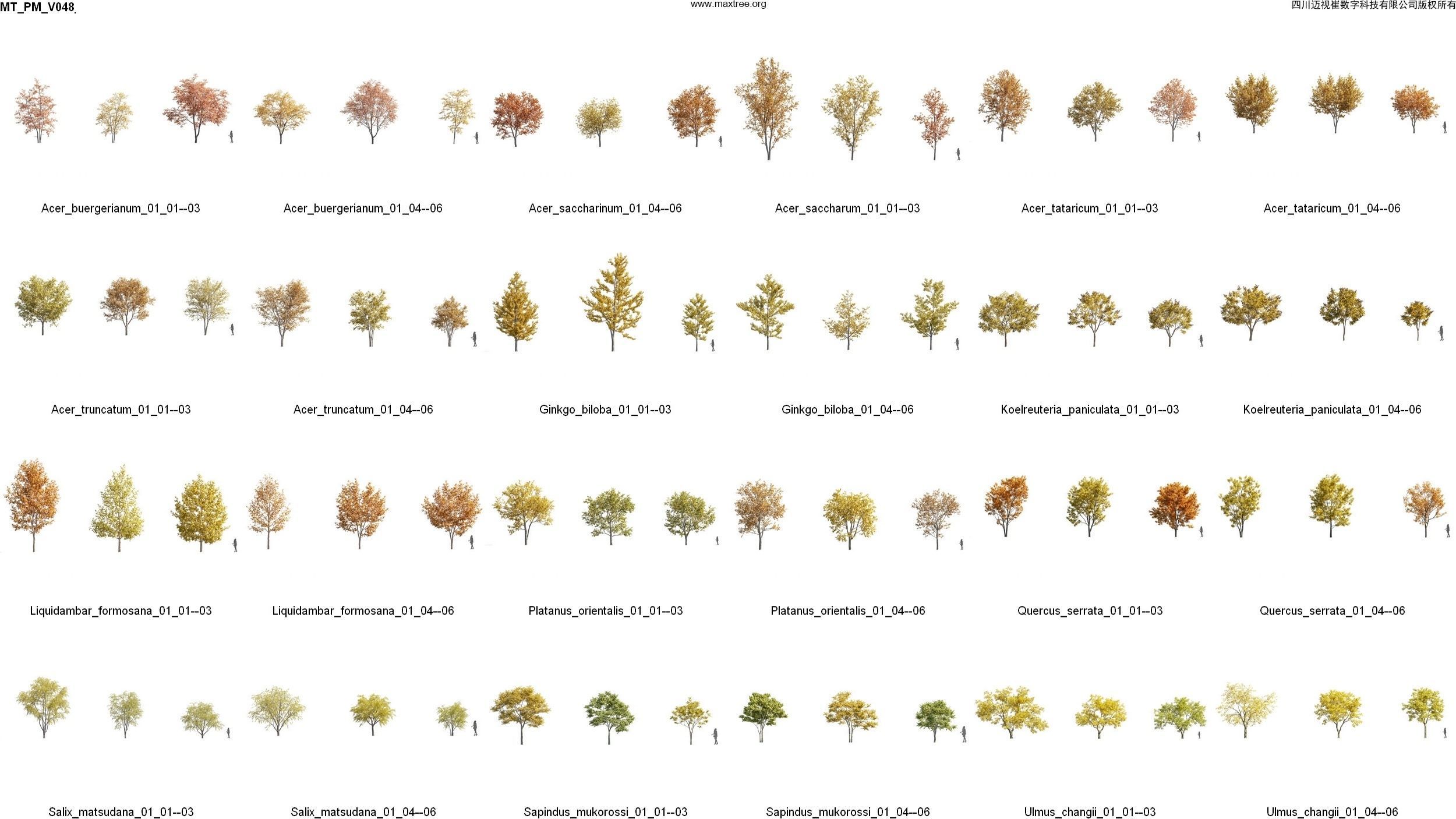 Maxtree Plant Models Vol 47 - Mesh 3D model_51