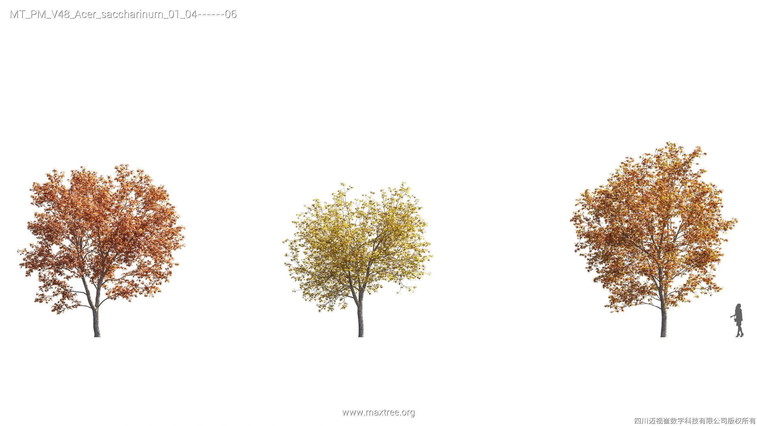 Maxtree Plant Models Vol 47 - Mesh 3D model_46