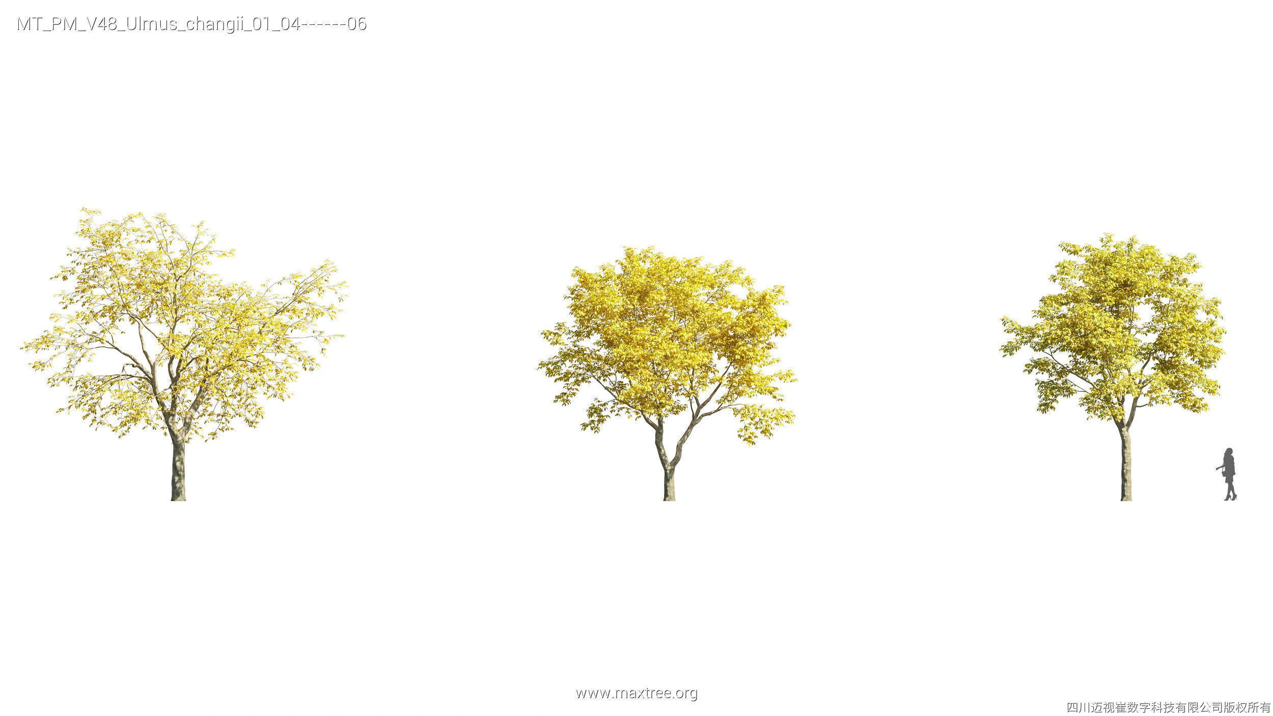 Maxtree Plant Models Vol 47 - Mesh 3D model_28
