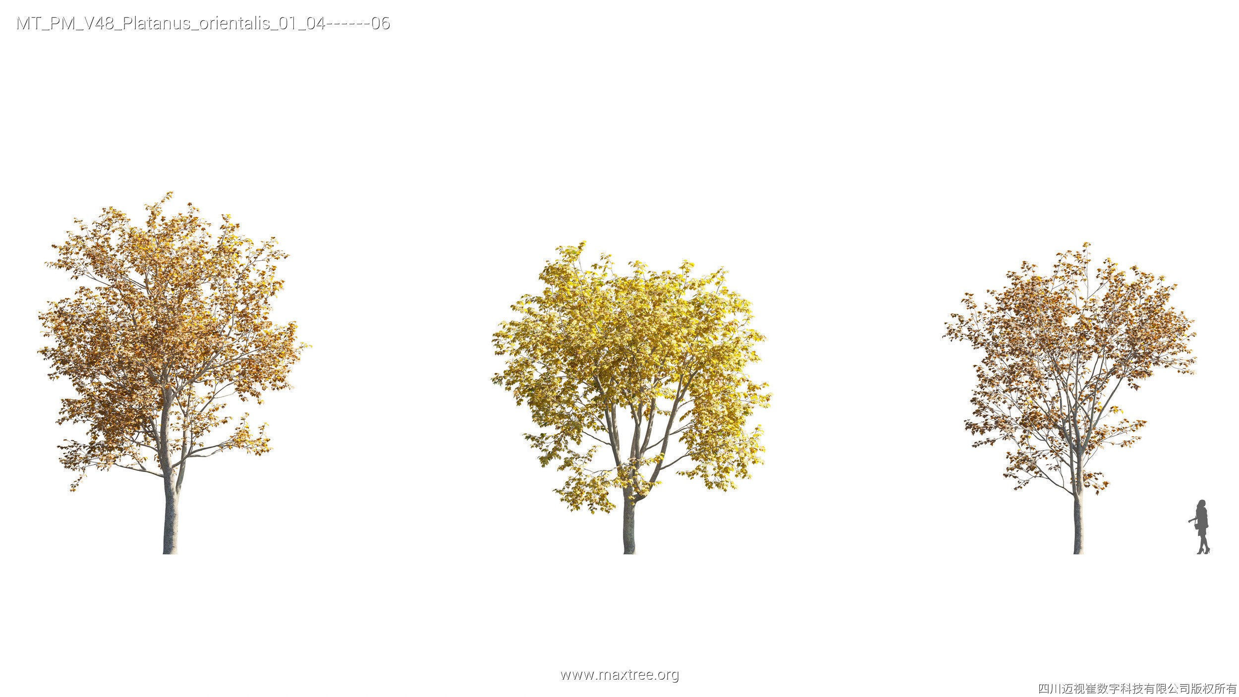 Maxtree Plant Models Vol 47 - Mesh 3D model_47