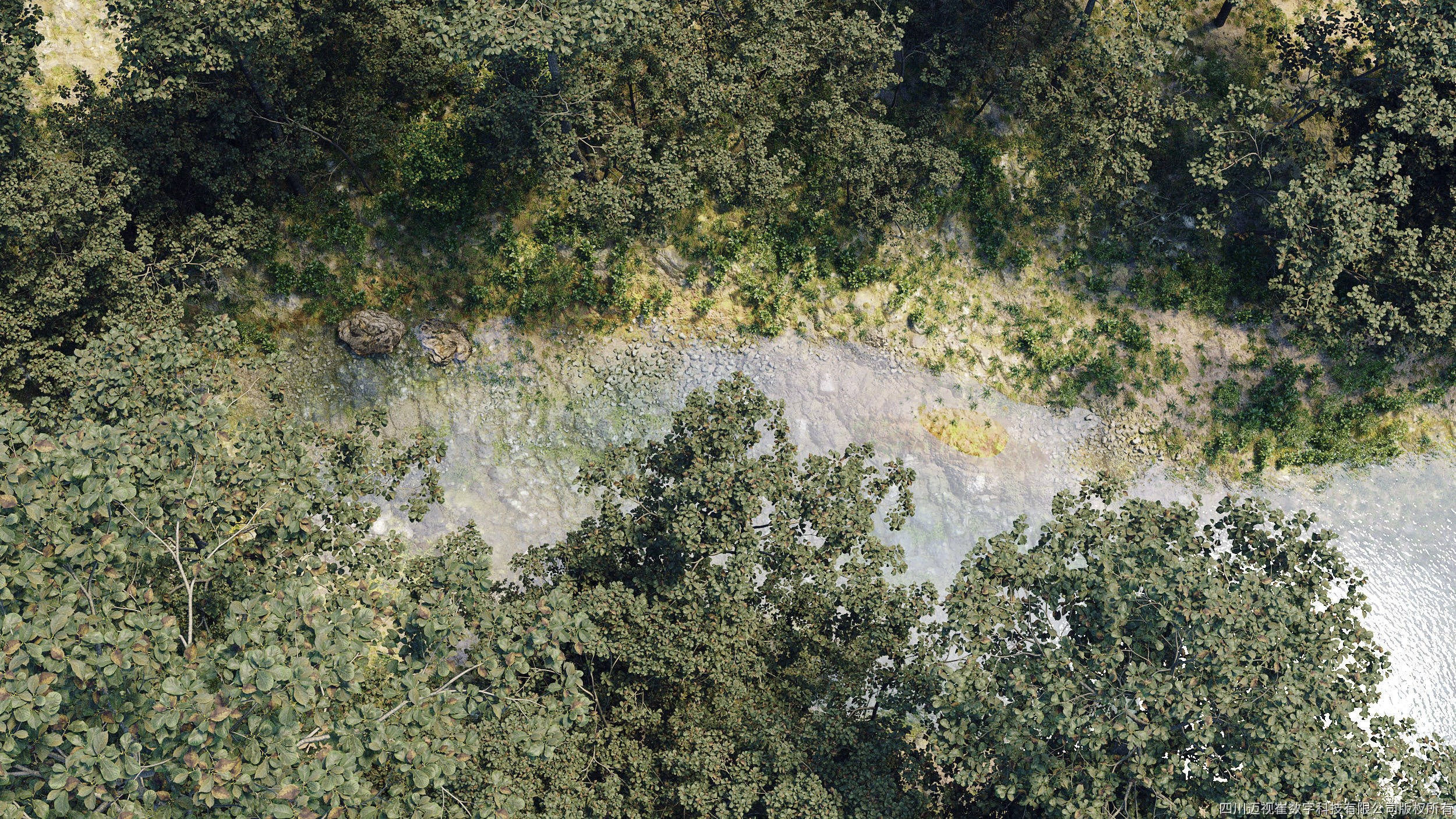 Maxtree Plant Models Vol 47 - Mesh 3D model_1