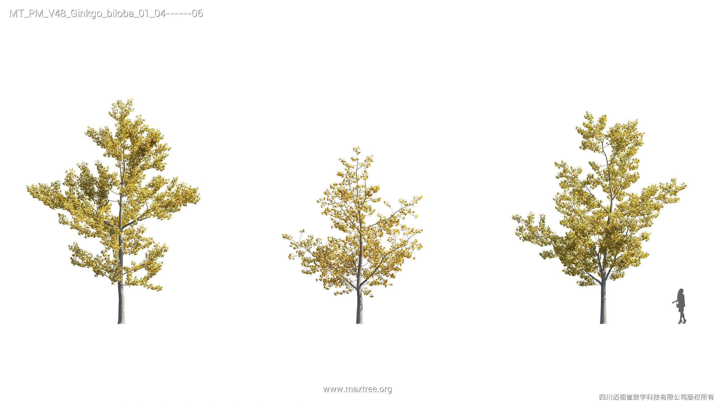 Maxtree Plant Models Vol 47 - Mesh 3D model_38