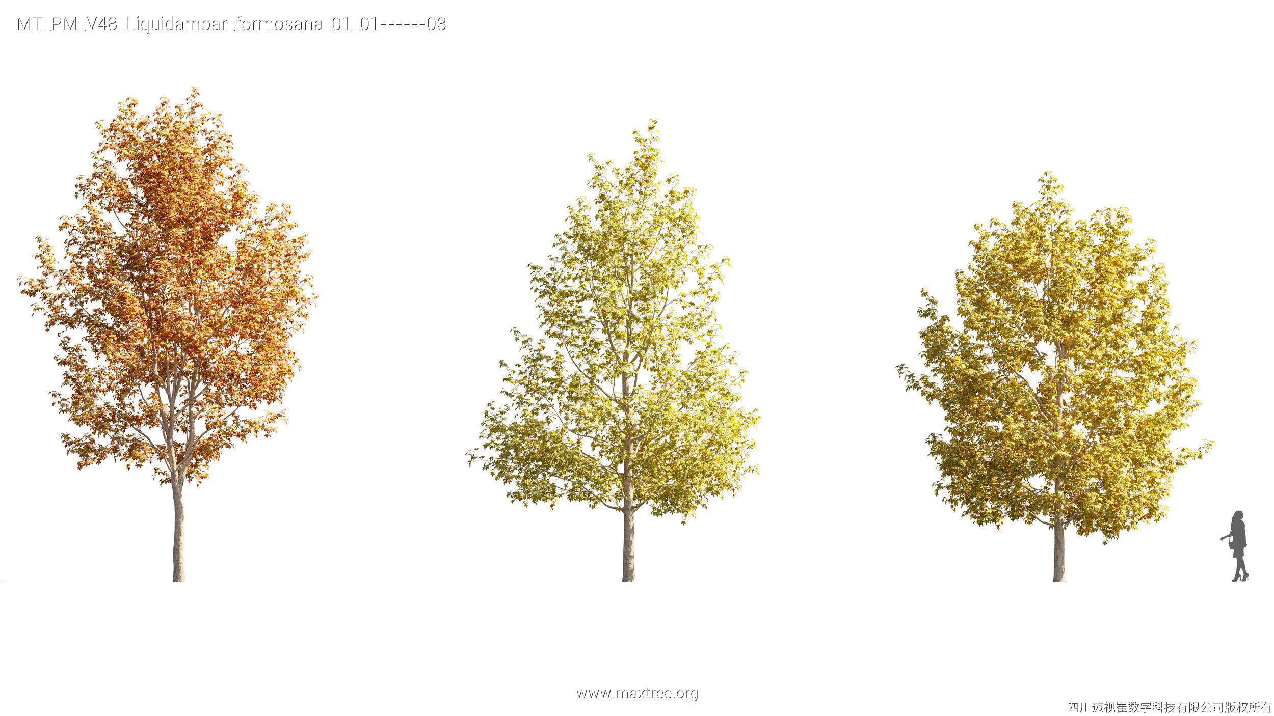 Maxtree Plant Models Vol 47 - Mesh 3D model_44