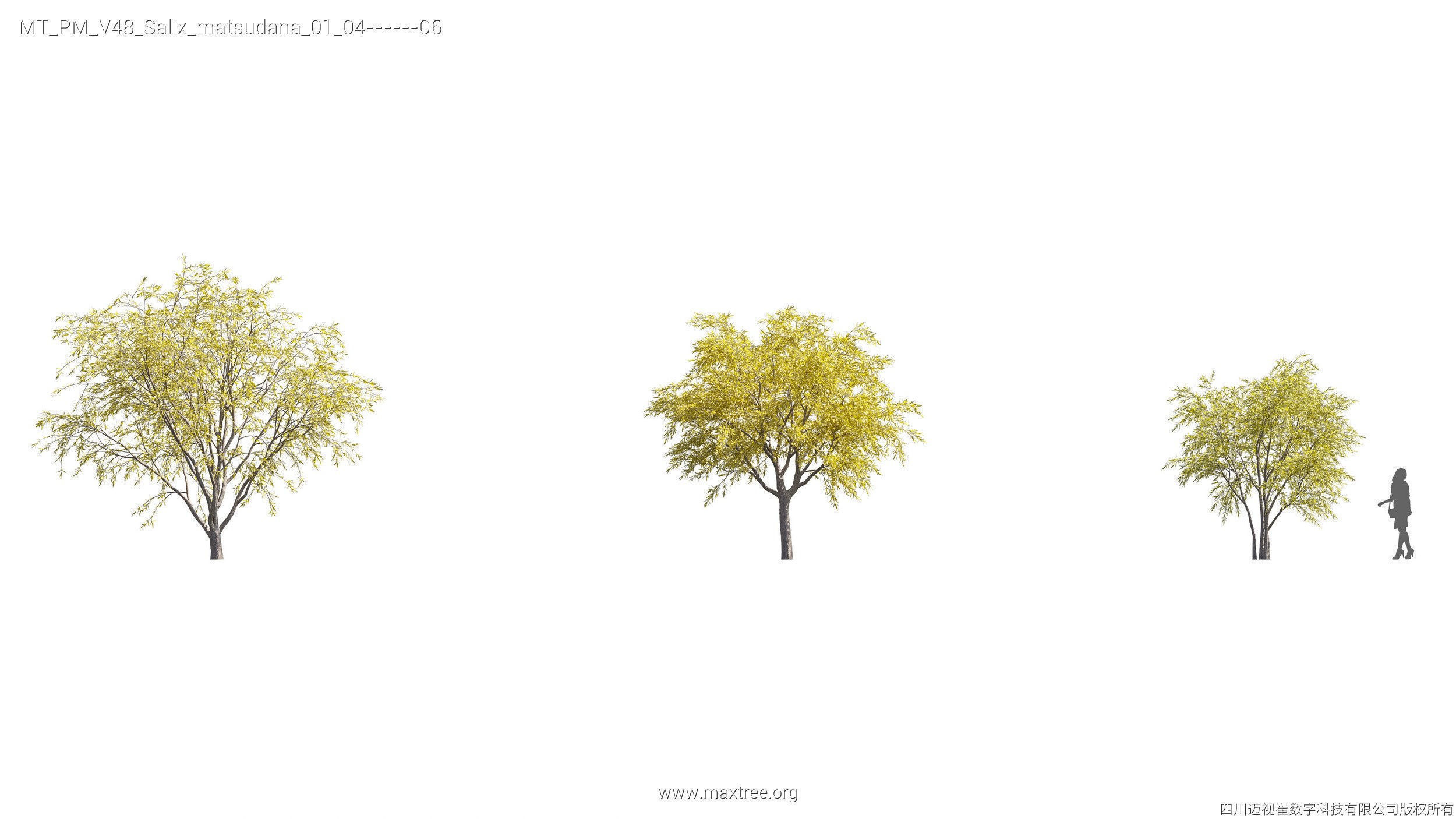 Maxtree Plant Models Vol 47 - Mesh 3D model_48