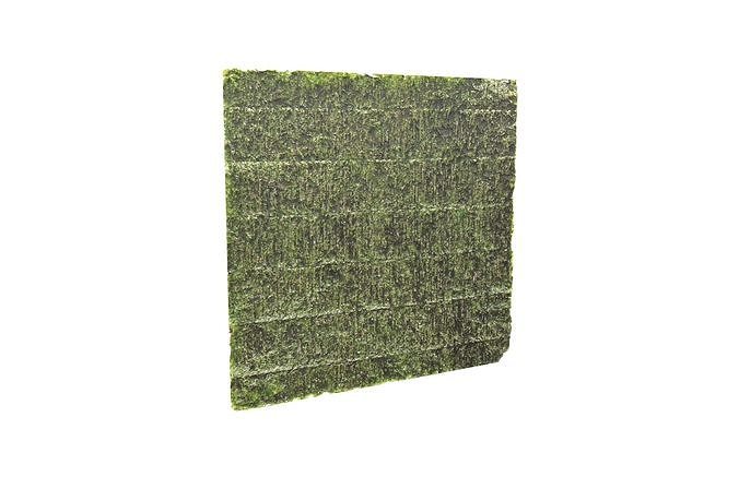 Nori v1 001 Low-poly 3D model 2