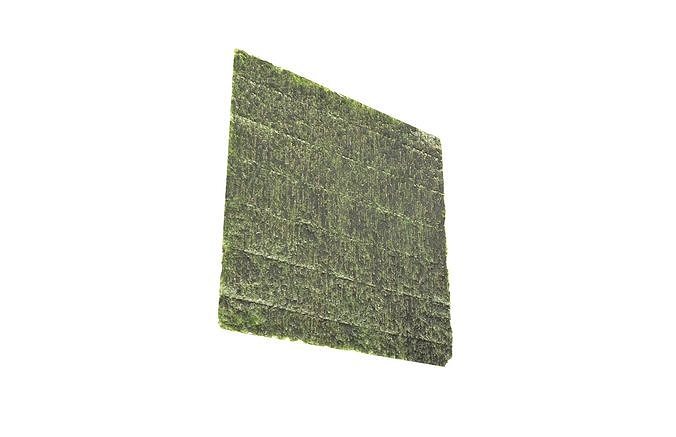 Nori v1 001 Low-poly 3D model 4