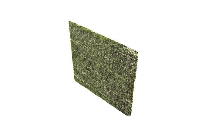 Nori v1 001 Low-poly 3D model 3