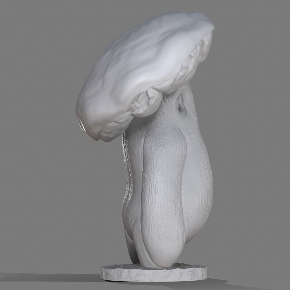 Tim the mmushroom 3D print model_5