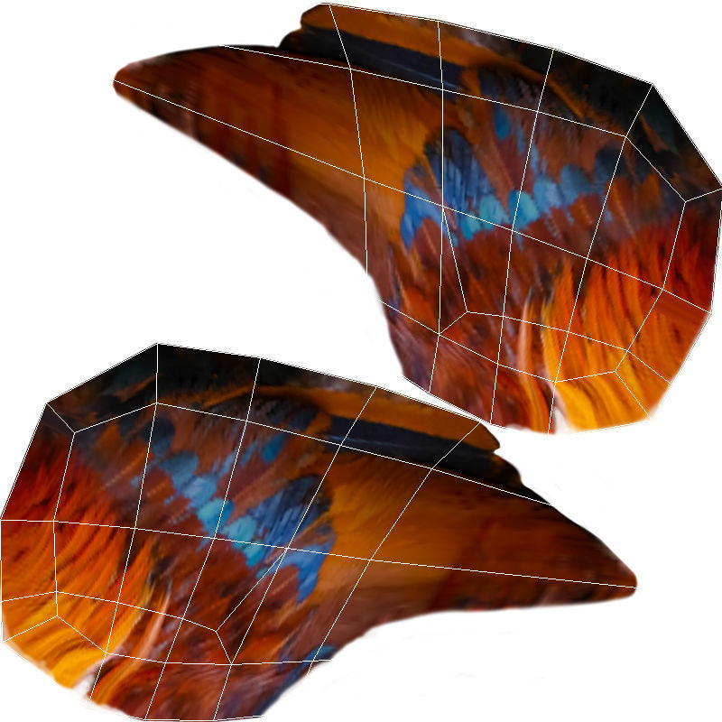 Rooster Low-poly 3D model_12