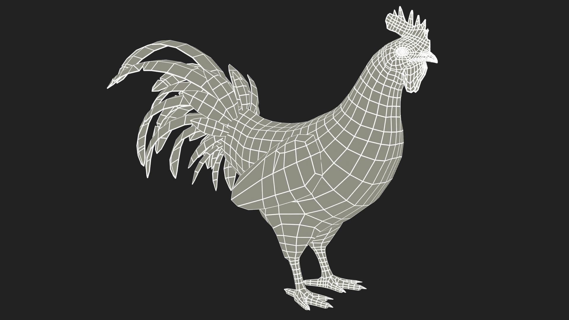 Rooster Low-poly 3D model_8
