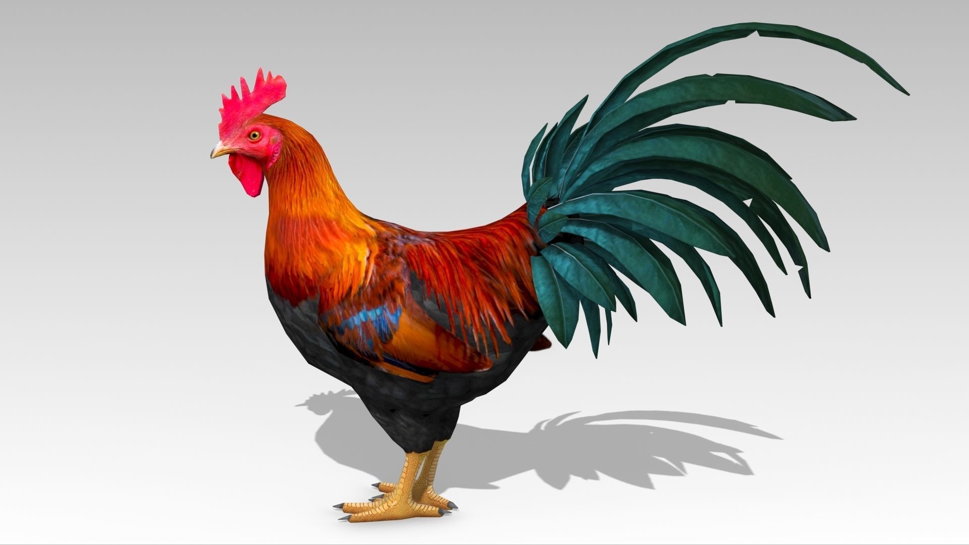 Rooster Low-poly 3D model_3