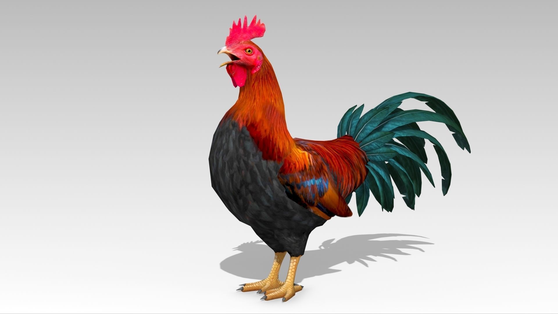 Rooster Low-poly 3D model_5