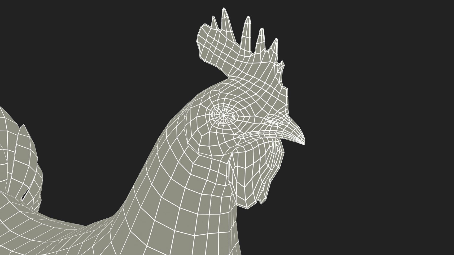 Rooster Low-poly 3D model_10
