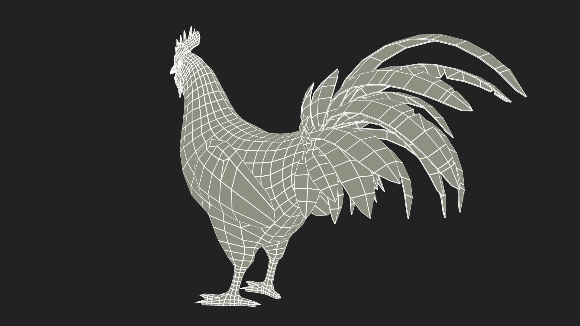 Rooster Low-poly 3D model_9