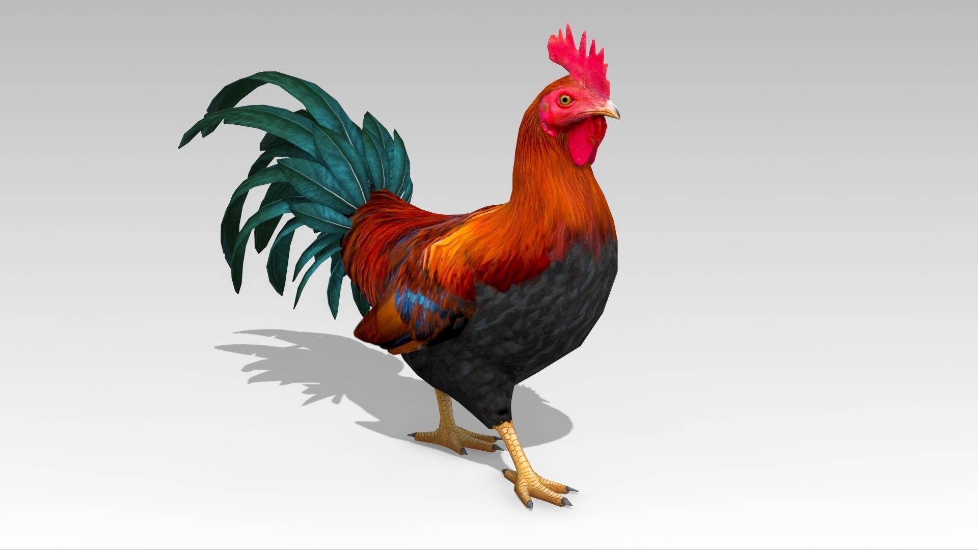 Rooster Low-poly 3D model_2