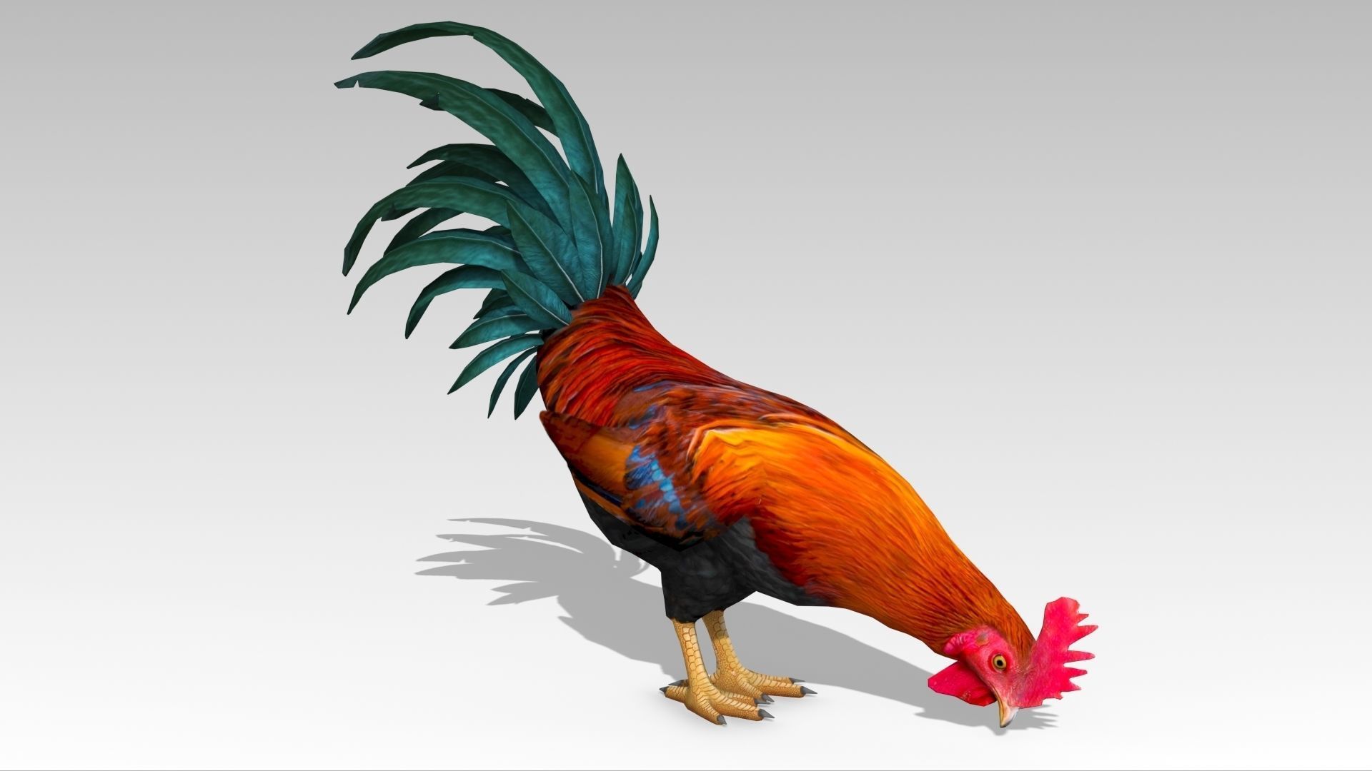 Rooster Low-poly 3D model_6