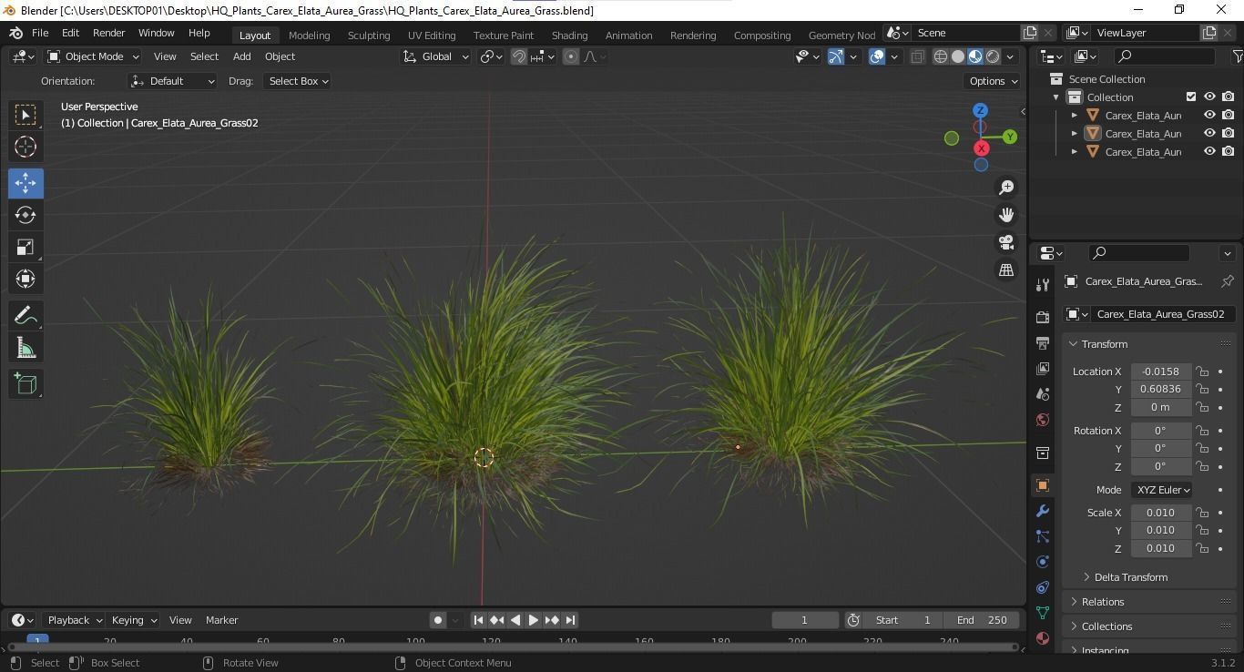 HQ Plants Carex Elata Aurea Grass 3D model_5