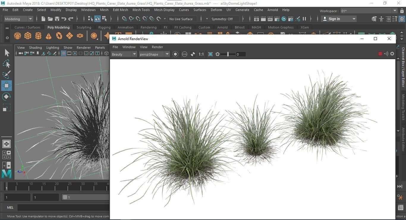 HQ Plants Carex Elata Aurea Grass 3D model_6
