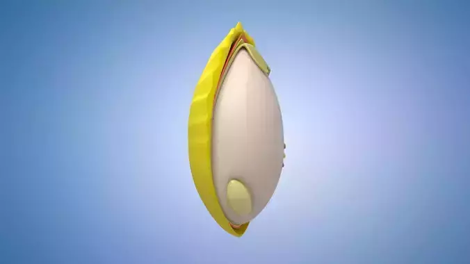 Rice grains commodities food  display 