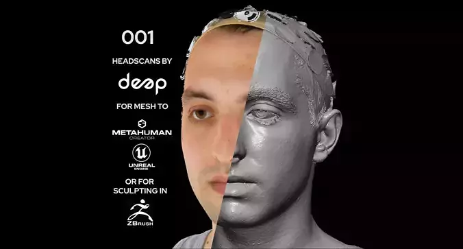 European Male 20s head scan 001  3D model