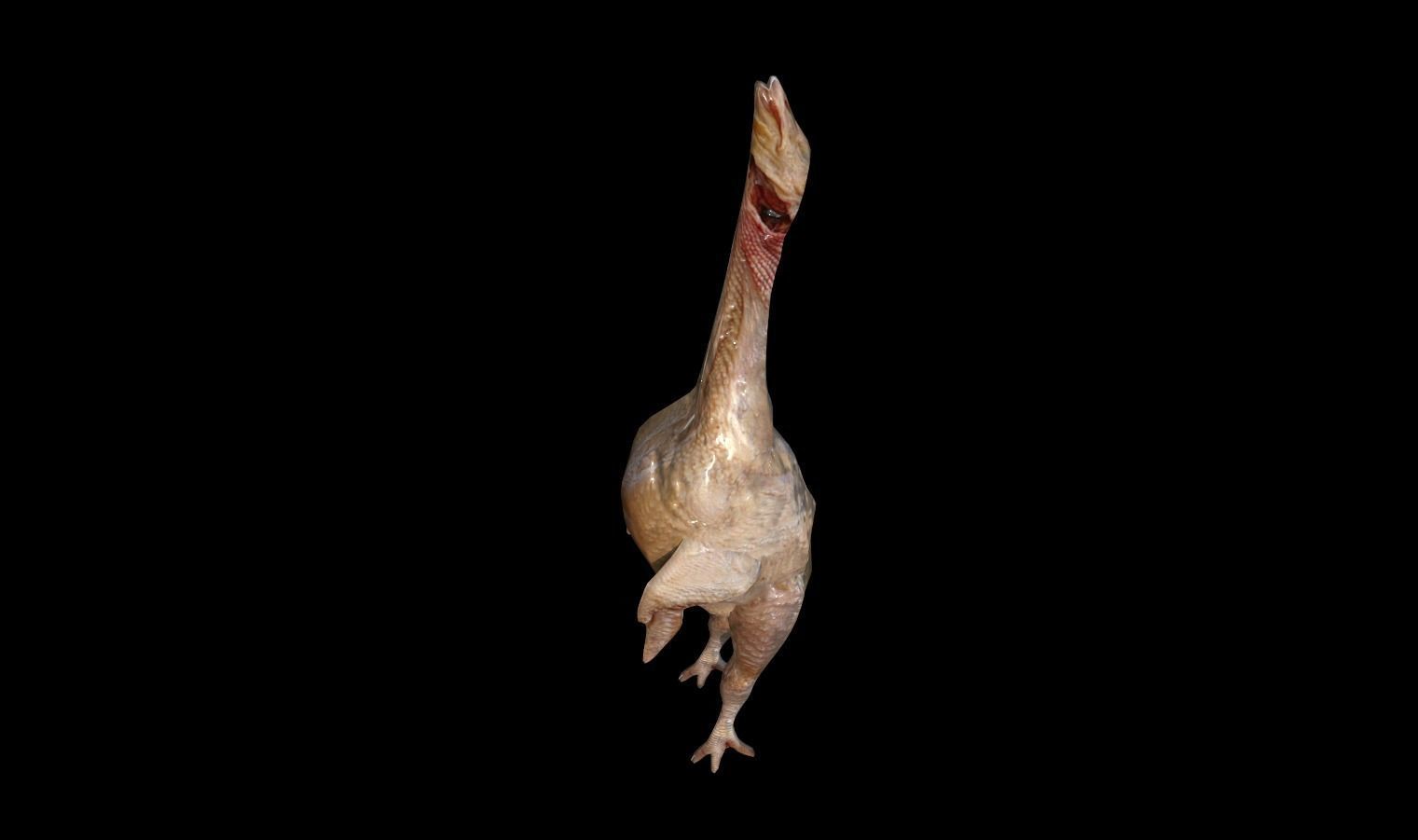 Animal Carcasses Pack Low-poly 3D model_15