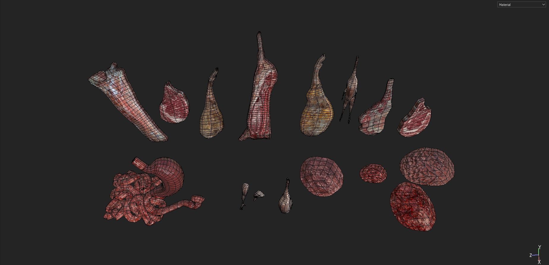 Animal Carcasses Pack Low-poly 3D model_29