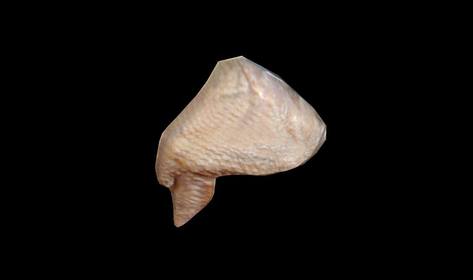 Animal Carcasses Pack Low-poly 3D model_21