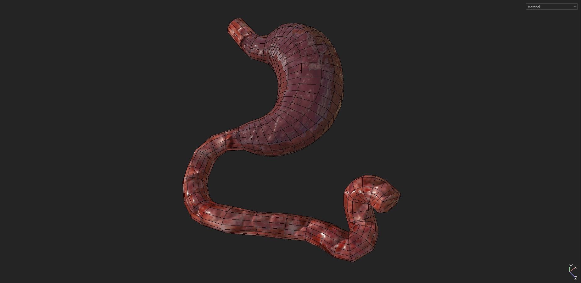 Animal Carcasses Pack Low-poly 3D model_14