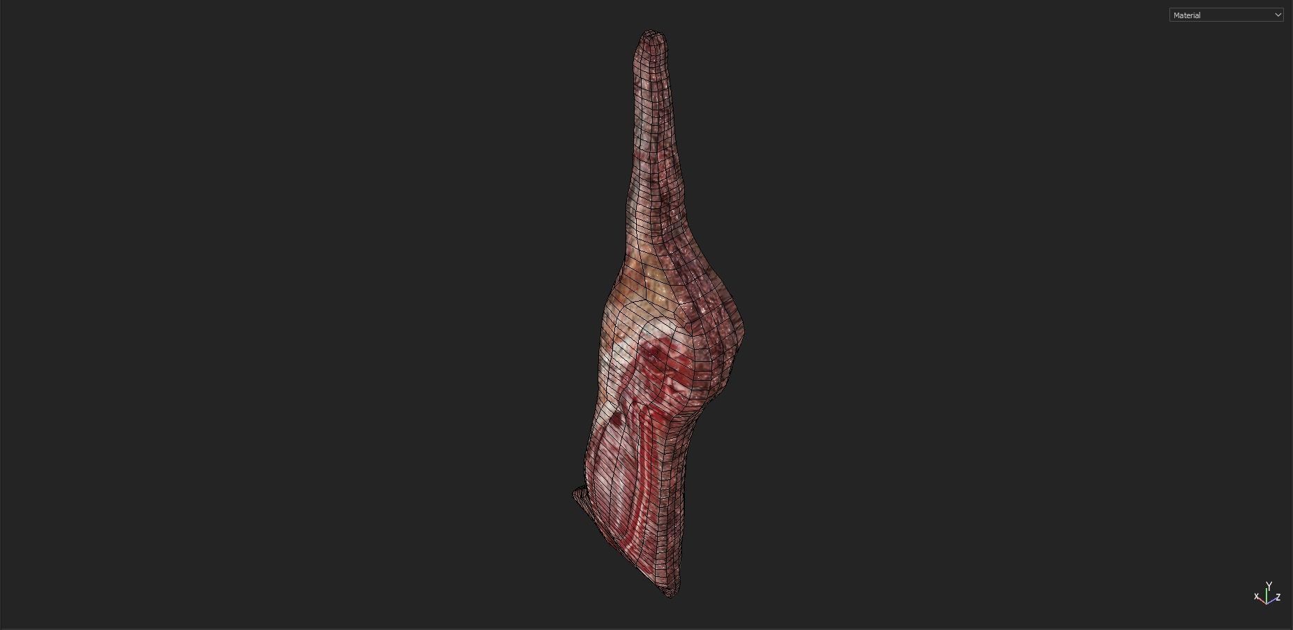 Animal Carcasses Pack Low-poly 3D model_4