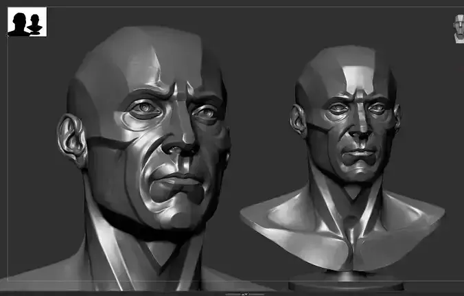 Planar Head Anatomy 3D model