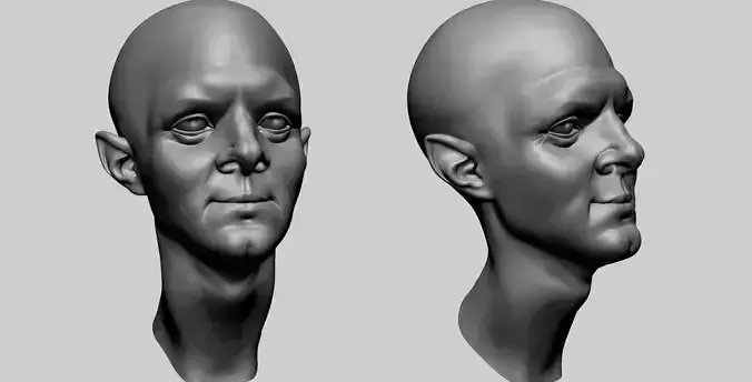Stylized Male Head F 3D model
