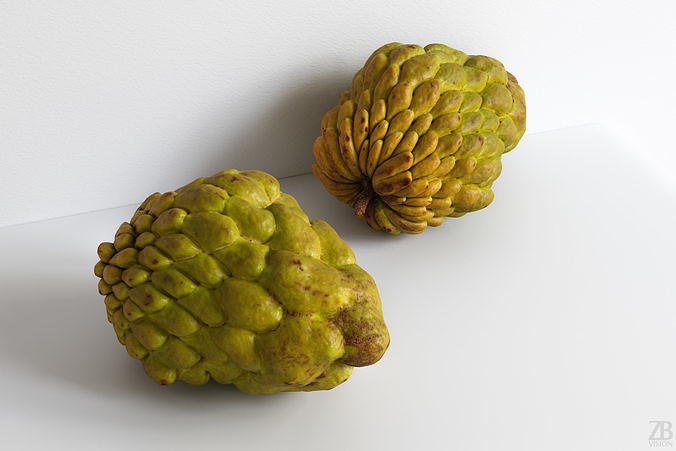 Cherimoya 3D model
