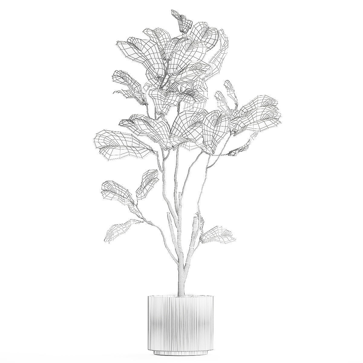 Decorative Tree Ficus Lyrata In A Flower Pot 1241 3D model_10