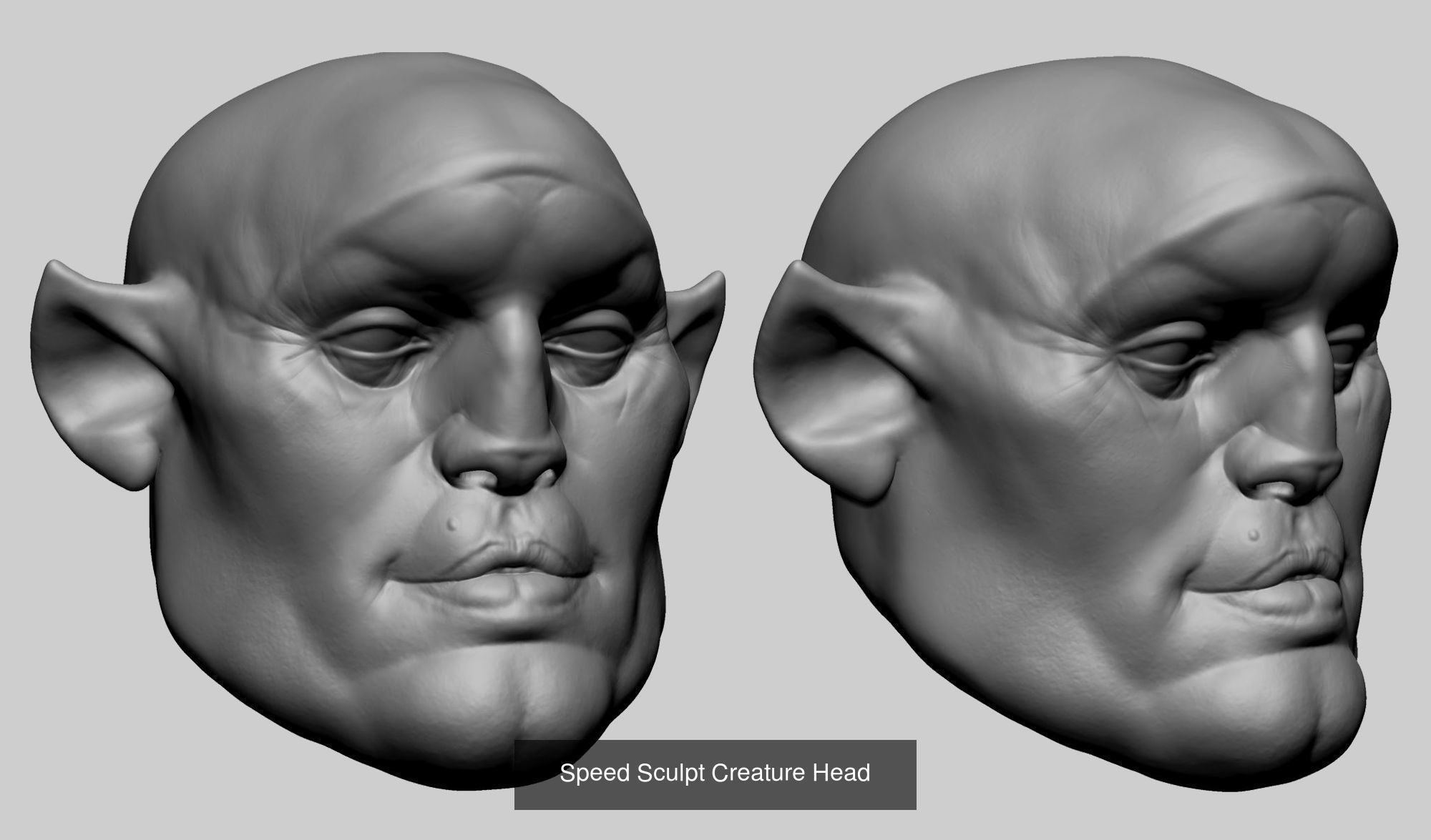 20 Creature Head Models 3D Model Collection_8