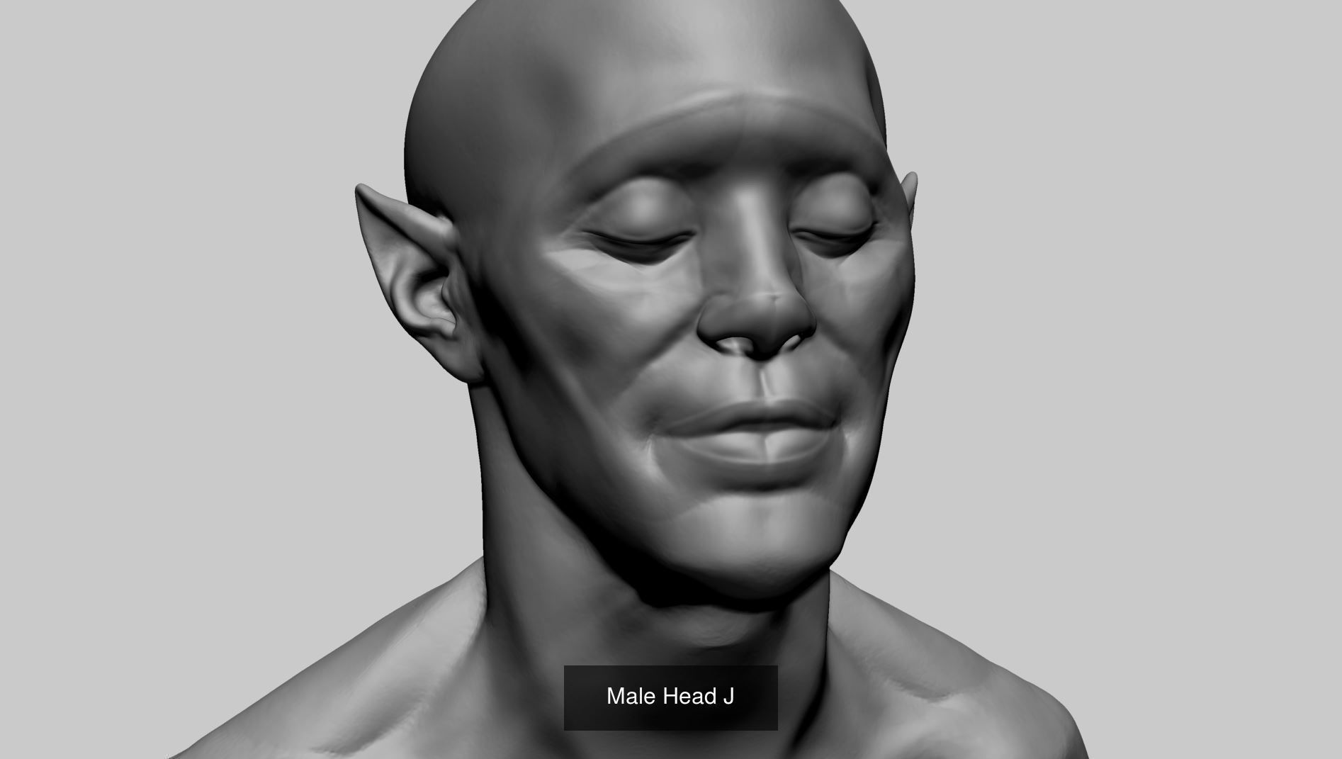 20 Creature Head Models 3D Model Collection_17