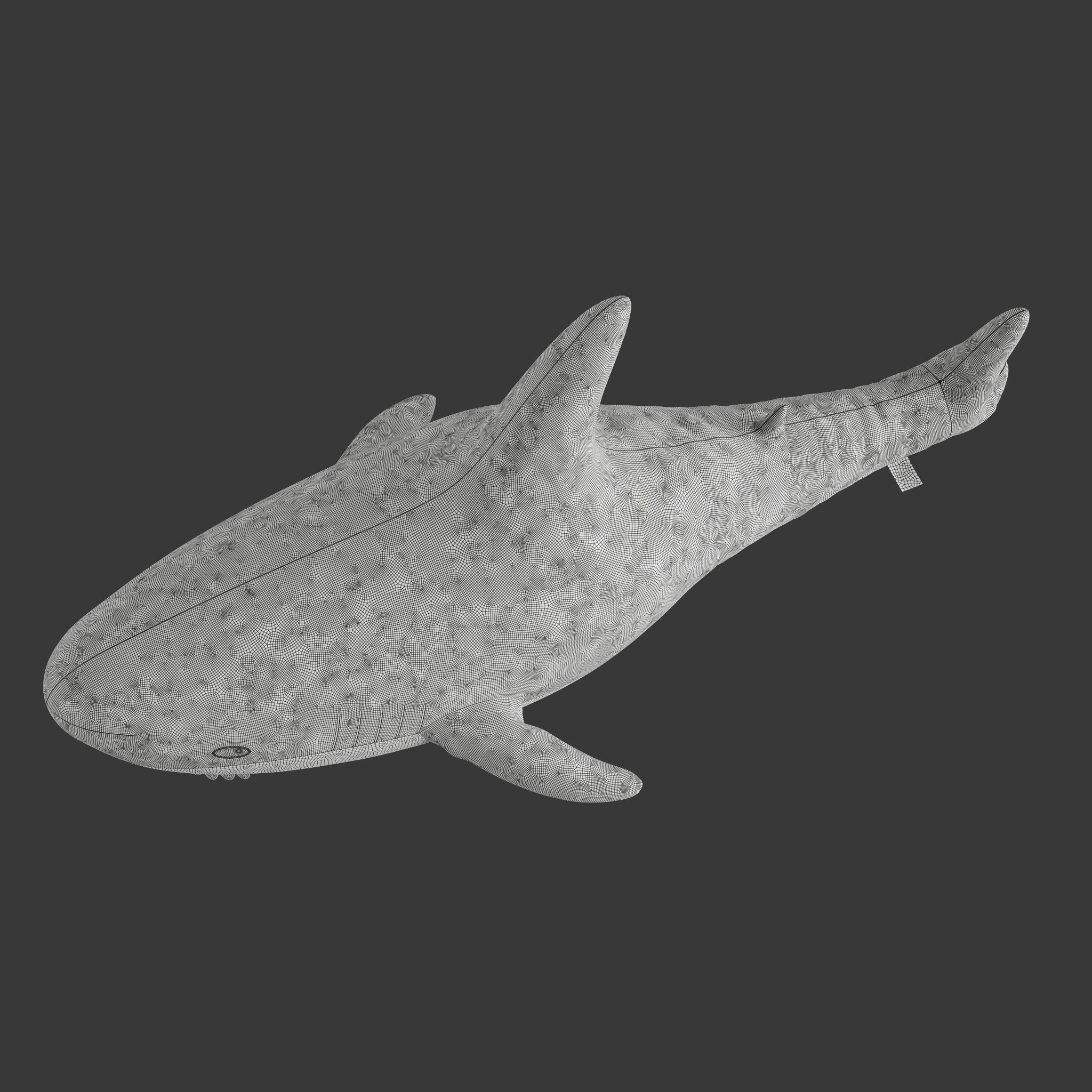 Toy shark IKEA BLAHAJ stuffed 3D model_8