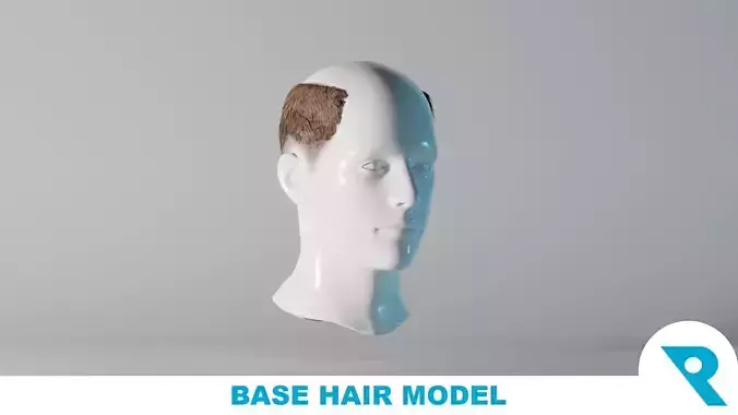 Realistic Male Hair 8 Low-poly 3D model Realistic Male Hair 8 Low-poly 3D model