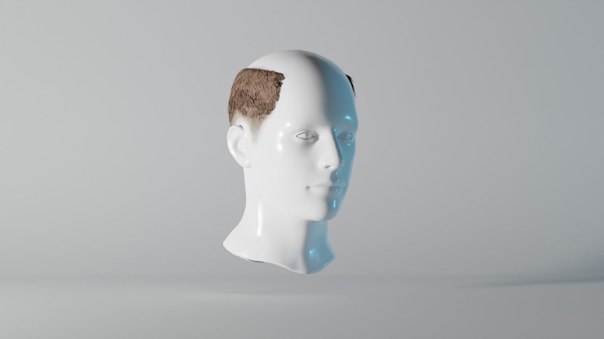 Realistic Male Hair 8 Low-poly 3D model_1